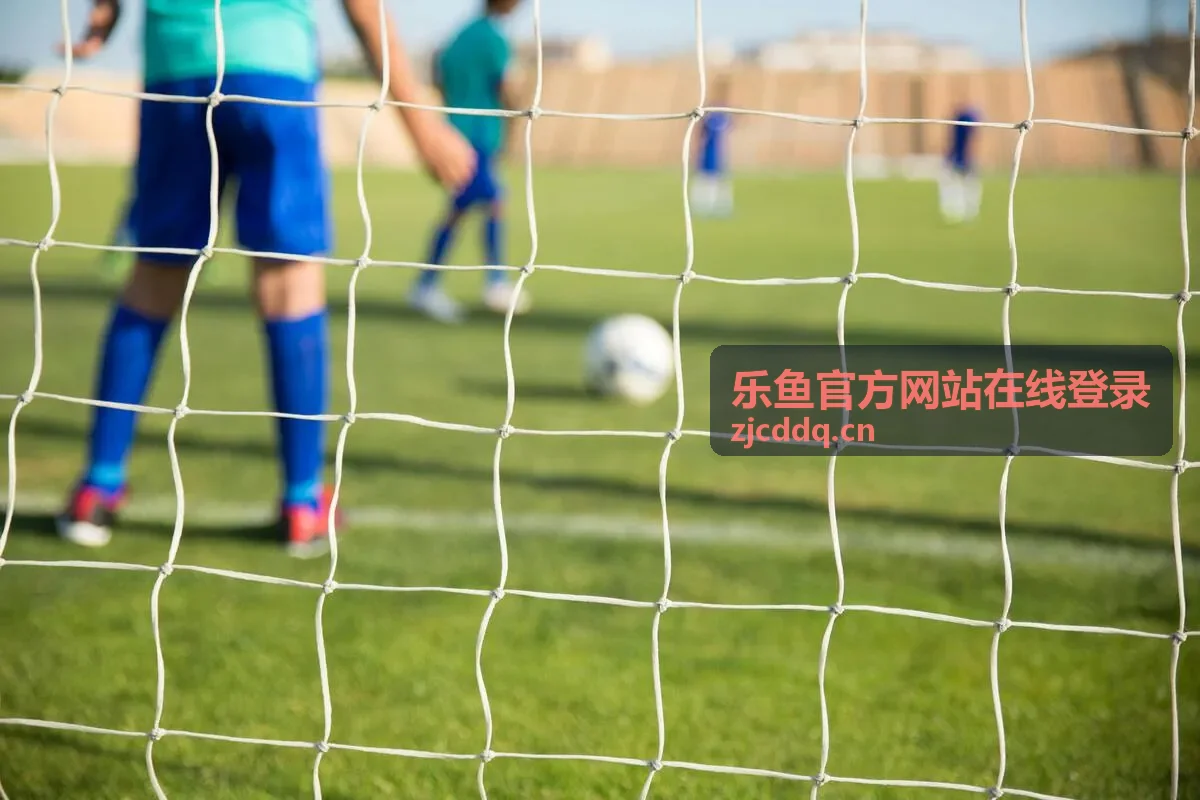 乐鱼官方网站在线登录账号安全提示配图